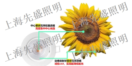 天津装修灯具工厂 上海先盛照明电器供应